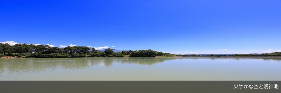 slideimage-7