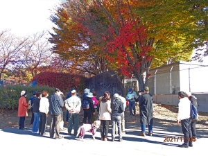 金井河原の虫の声