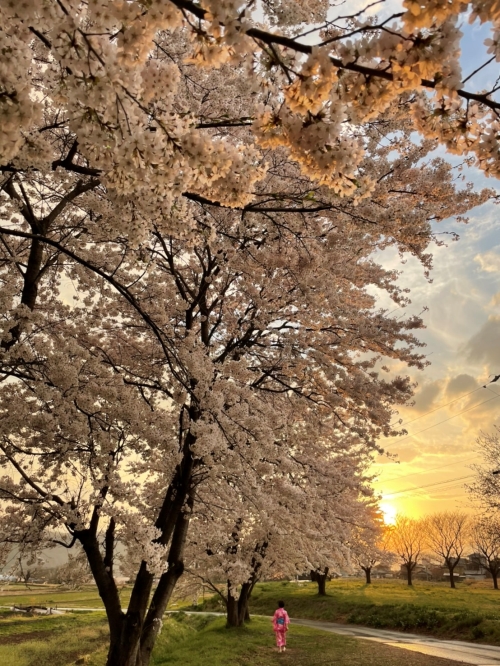 雨上がりの散歩