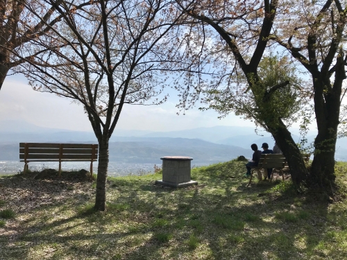 花見遊山