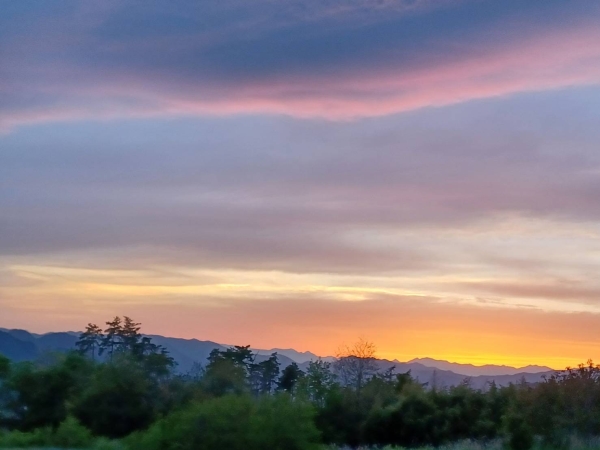 畑から見えた夕方の風景1