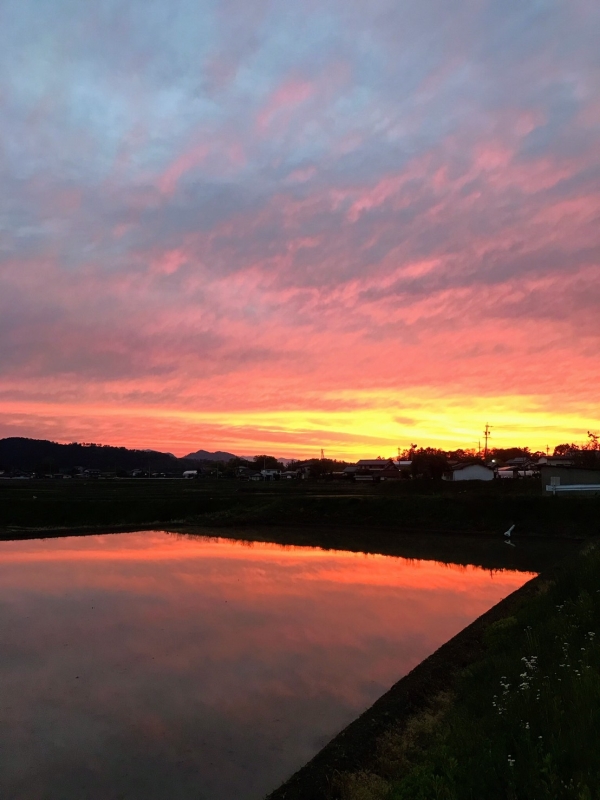 夕焼け