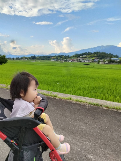 七夕のお散歩