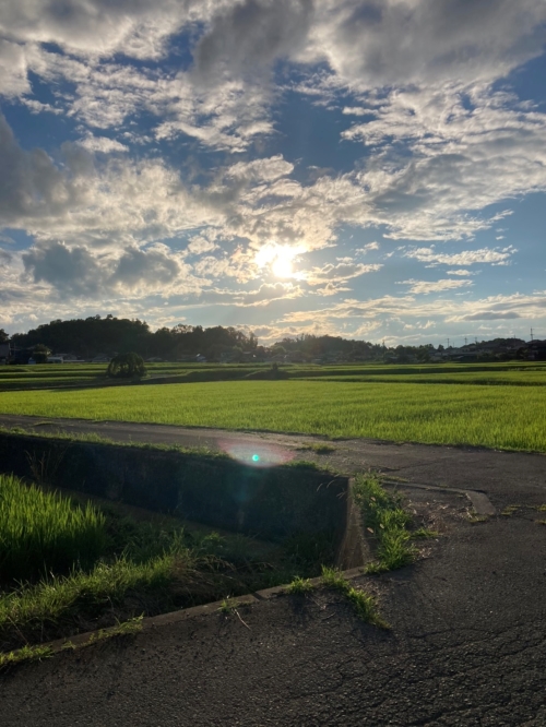 小さな瞳に映るのは