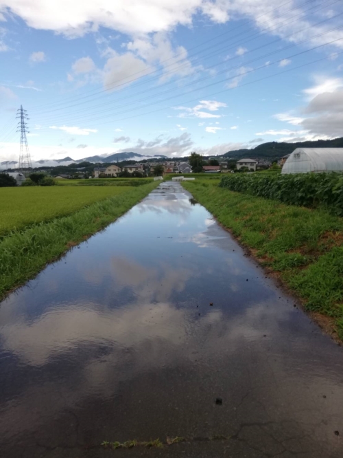 お盆明けの雨上がり