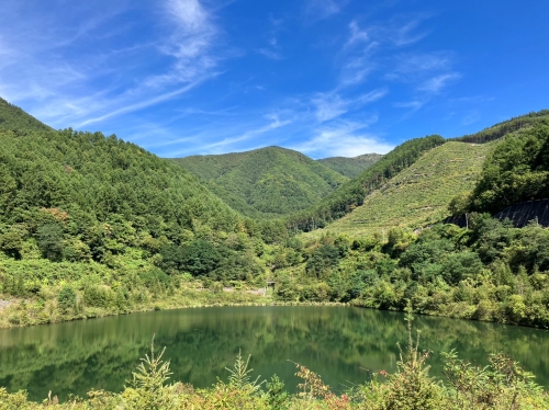 東御日和