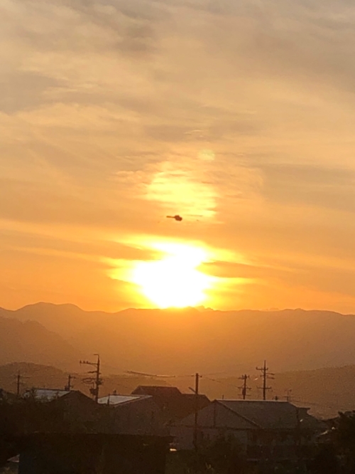 赤とんぼと夕日