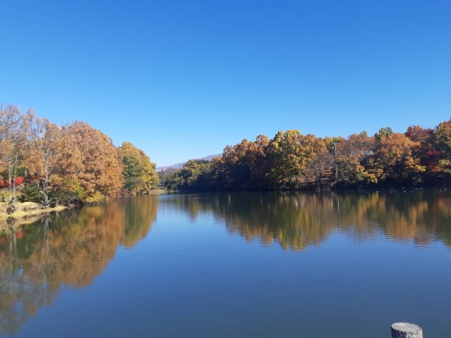 紅葉を写す水面と青空