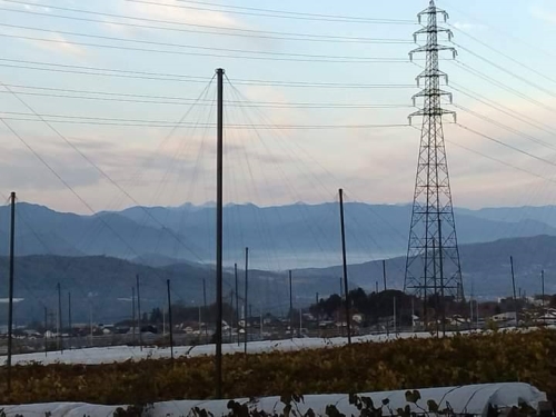 雲海の先に見えた北アルプス