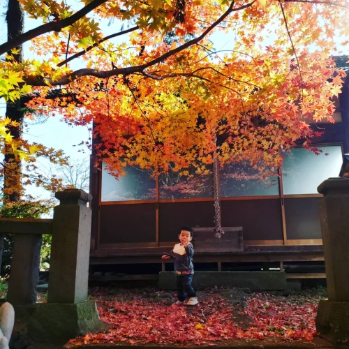 近くの神社