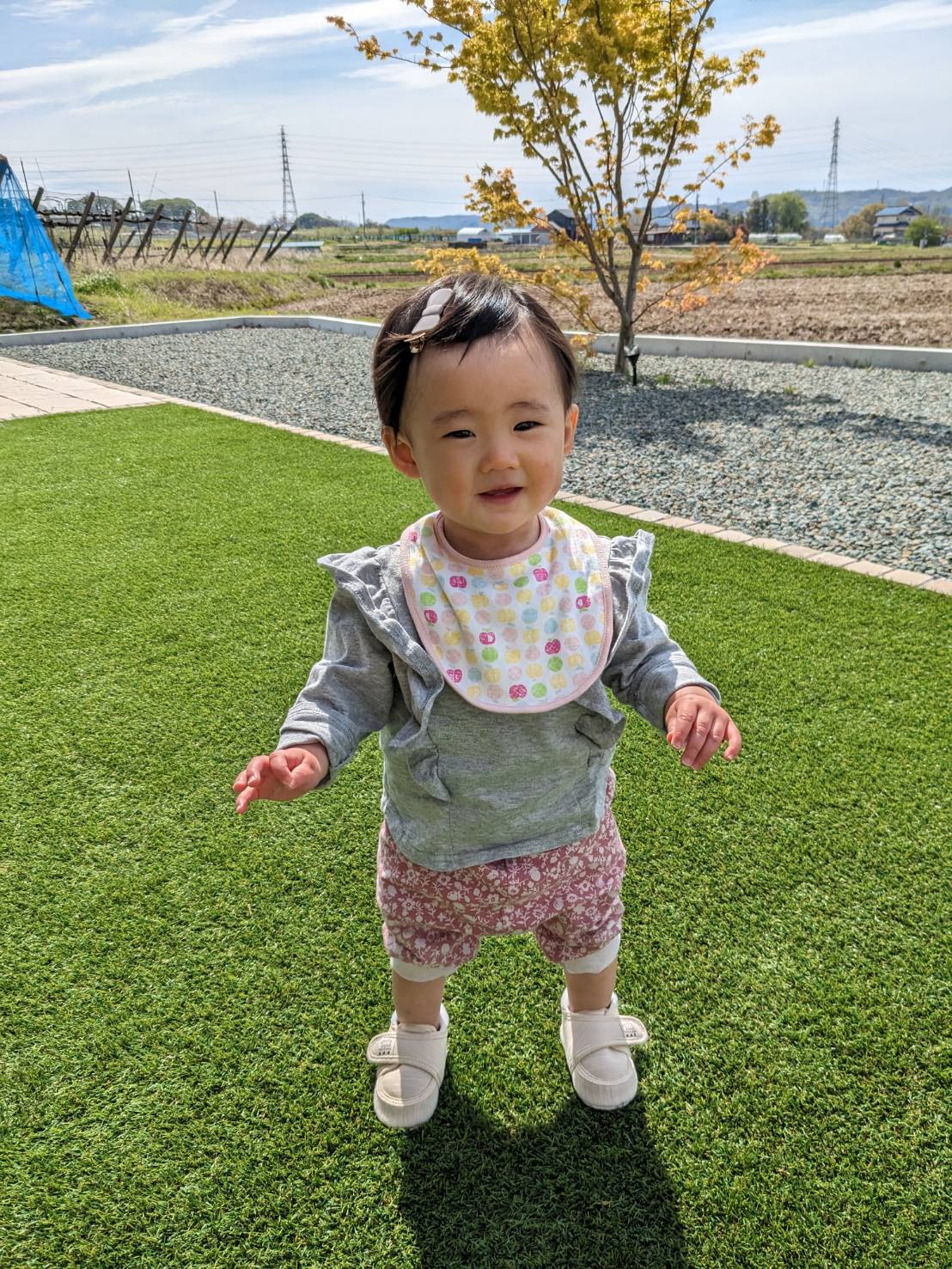 風の気持ち良い昼下り