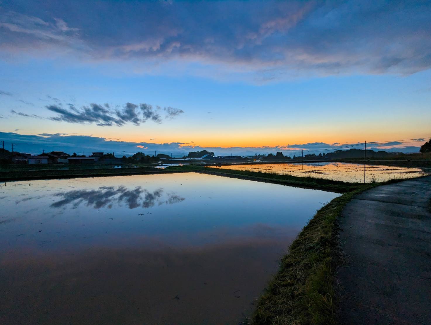 雨上がりの水鏡