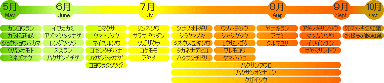 花ごよみ