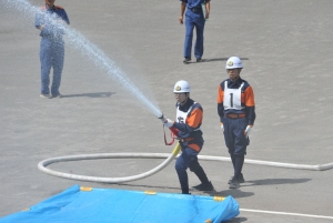 DSC_300 DSC_4875