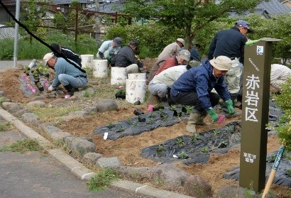 花壇に花の植え付けをする会員たち