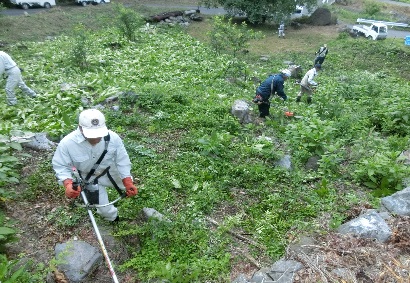   桜公園の草刈り。以前はうっそうとしたヤブでとても人が入れる状態ではありませんでした。