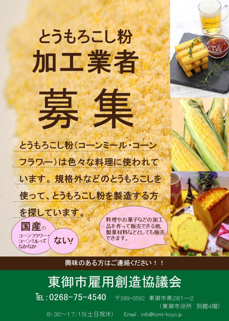 玉米面（細）とうもろこし粉 玉米面粉 コーンミール 中華食材400g×10点 通販